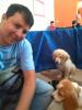 foto de Mi Perro Educado